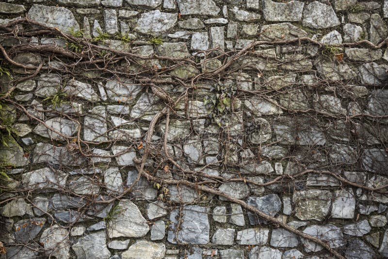 Muro De Pedra Rústica Para Textura Foto de Stock - Imagem de fundo,  granito: 218060864