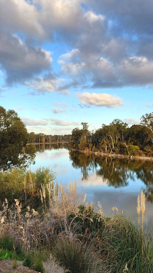Murray River NSW Victoria Australia Stock Photo Image of victoria