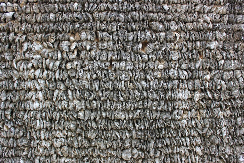 Oyster shell wall is a unique and chic in lingnan architecture process. Many in the pearl river delta region of guangdong province in China. Oyster shell wall is a unique and chic in lingnan architecture process. Many in the pearl river delta region of guangdong province in China.