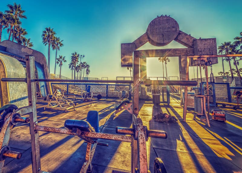 Muscle Beach in Los Angeles Stock Image Image of park, wallpaper
