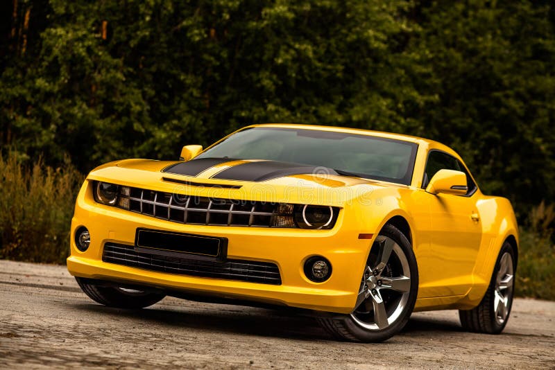 Muscle Car. Bumblebee.