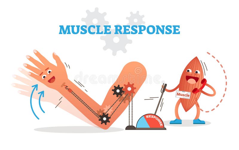 Muscle lo schema concettuale dell'illustrazione di vettore di risposta con il carattere del muscolo del fumetto che riceve l'impu illustrazione di stock Muscle lo schema concettuale dell'illustrazione di vettore di risposta con il carattere del muscolo del fumetto che riceve l'impu illustrazione di stock
