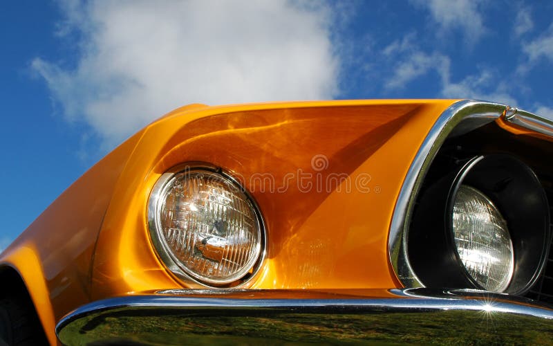 muscle orange στοκ εικόνες muscle orange στοκ εικόνες