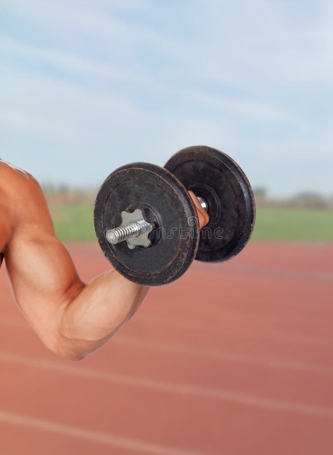 Muscled Arm Lifting Weights Stock Image Image of active, exercise