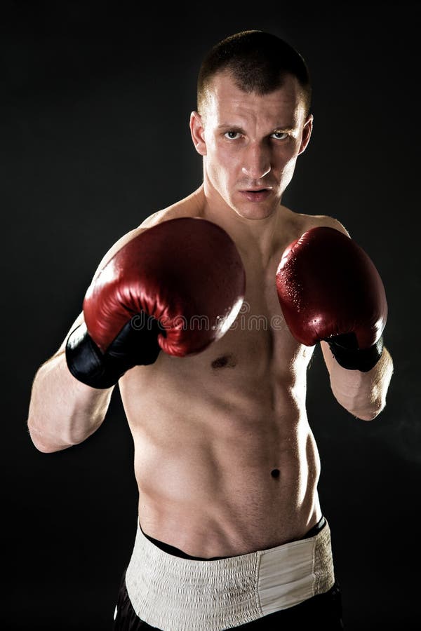 Muscular kickbox or muay thai, boxing fighter. Portrait stock image Muscular kickbox or muay thai, boxing fighter. Portrait stock image