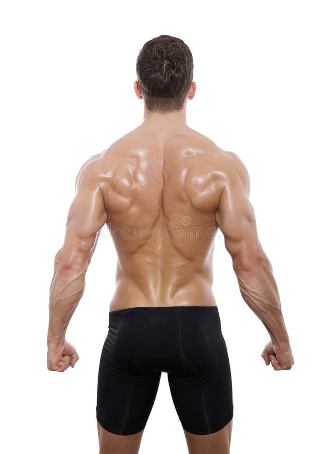Muscular male back stock image. Image of bodybuilder 39838407