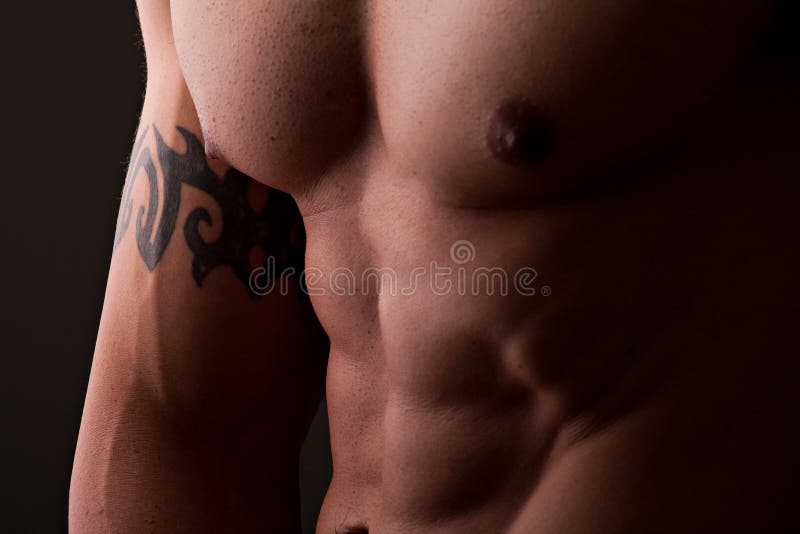 Muscular male torso