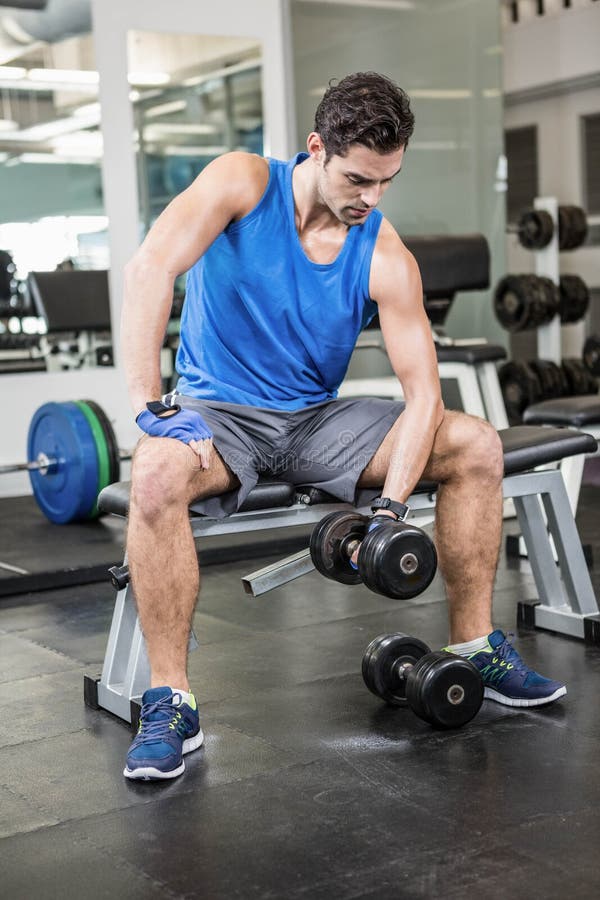 Muscular Man Lifting Dumbbell while Sitting on Bench Stock Image
