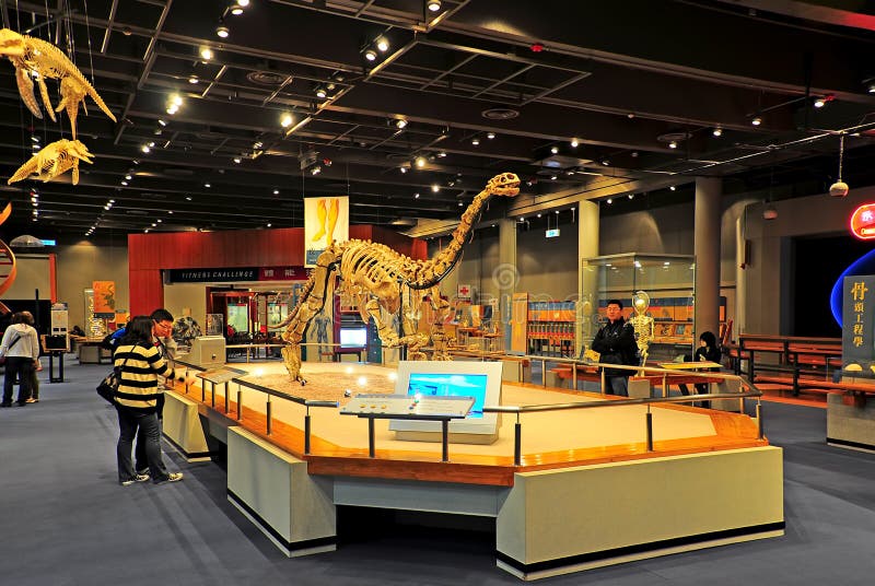 Fósiles museo de Hong Kong imagen de archivo