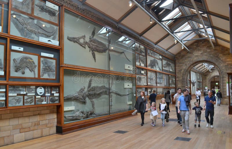 Museo Londres de la historia natural de los visitantes