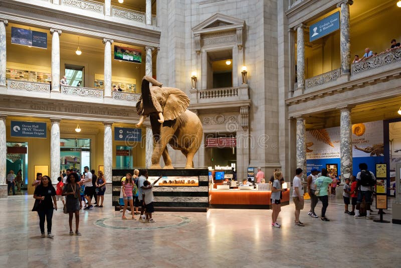 Museo Nacional de la historia natural en Washington D C foto de archivo Museo Nacional de la historia natural en Washington D C foto de archivo