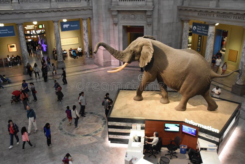 Museo Nacional de Historia Natural en Washington, D. C. imágenes de archivo libres de regalías