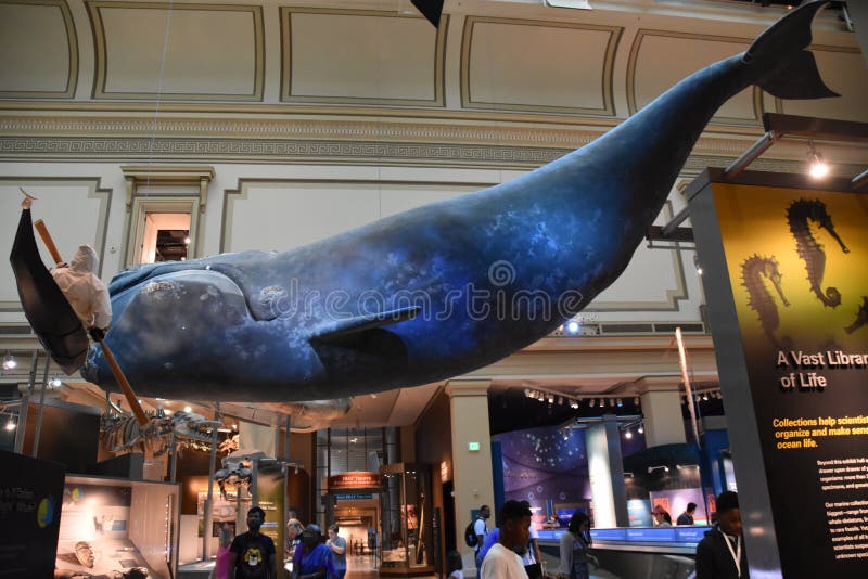 Museo Nacional de Historia Natural en Washington, D. C. fotografía de archivo