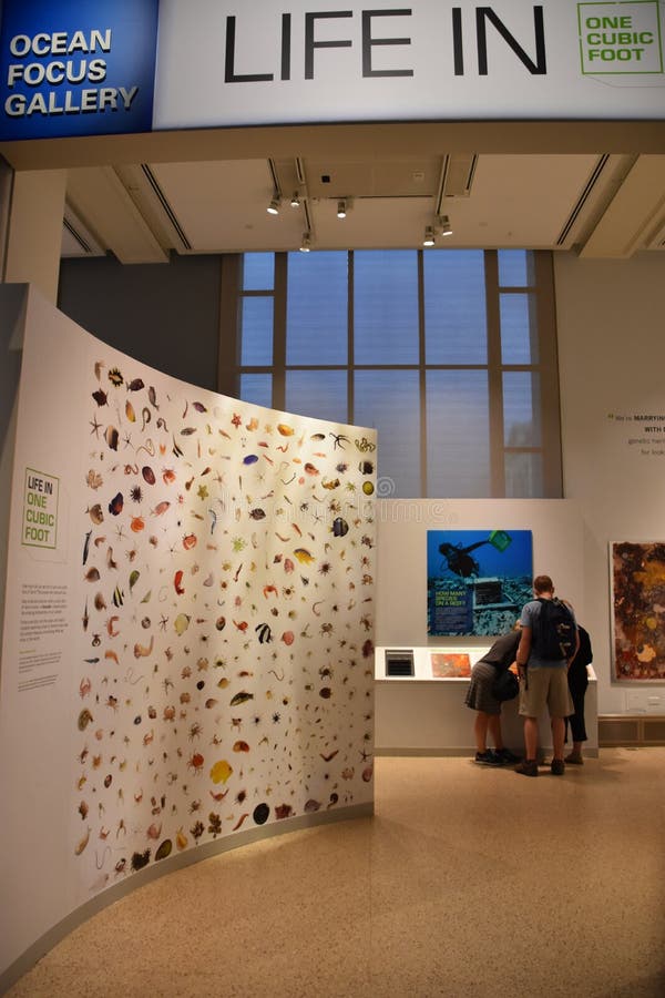 Museo Nacional de Historia Natural en Washington, D. C. imagen de archivo