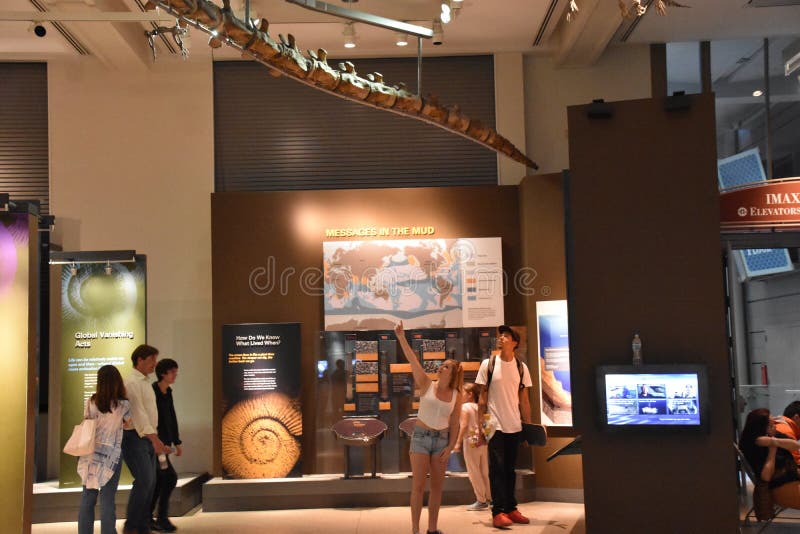 Museo Nacional de Historia Natural en Washington, D. C. imágenes de archivo libres de regalías