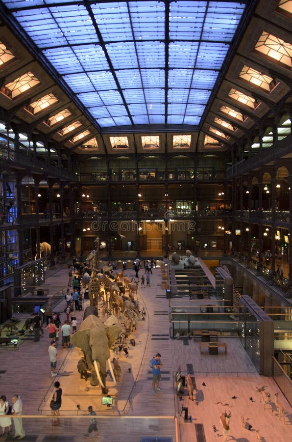 Museo nazionale di storia naturale fotografia stock libera da diritti Museo nazionale di storia naturale fotografia stock libera da diritti