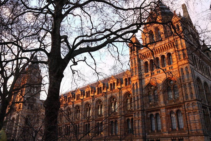 The Natural History museum in London showing the Victorian architecture of this wonderful building. The Natural History museum in London showing the Victorian architecture of this wonderful building