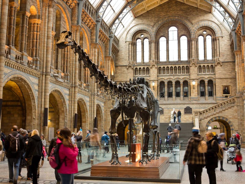 Museu da história natural em Londres