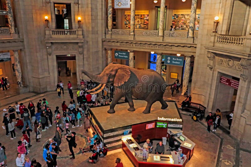 The Museum of Natural History - Smithsonian Institution, Washington, DC.Here is photo taken from 2nd floor looking down to main lobby with huge elephant and tourist. The Museum of Natural History - Smithsonian Institution, Washington, DC.Here is photo taken from 2nd floor looking down to main lobby with huge elephant and tourist.