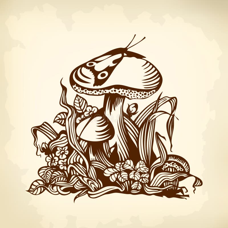 Mushroom brown stock illustration Illustration of nature 44846235
