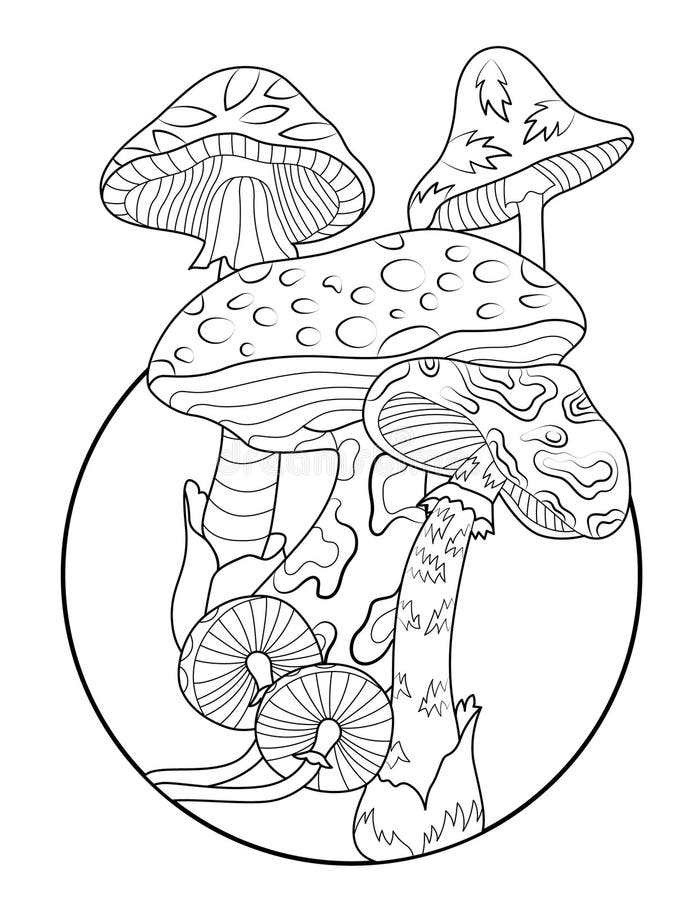 Mushroomcoloringpage Stock Illustrations 20 Mushroomcoloringpage