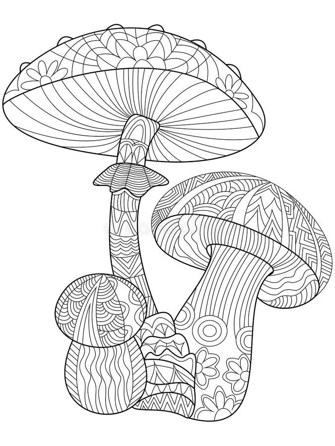 Download Mushroom Coloring Vector For Adults Stock Vector - Illustration of outline, illustration: 69405596