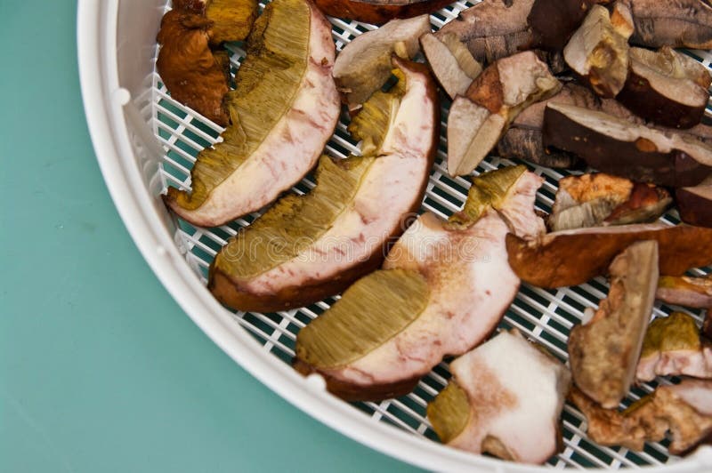 Dried Mushrooms in Jar stock image. Image of autumnal 87612187
