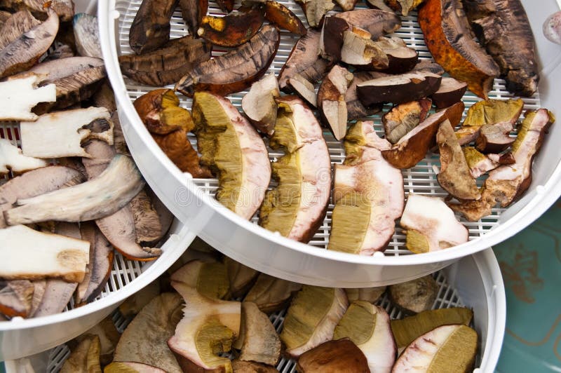 Dried Mushrooms in Jar stock image. Image of autumnal 87612187