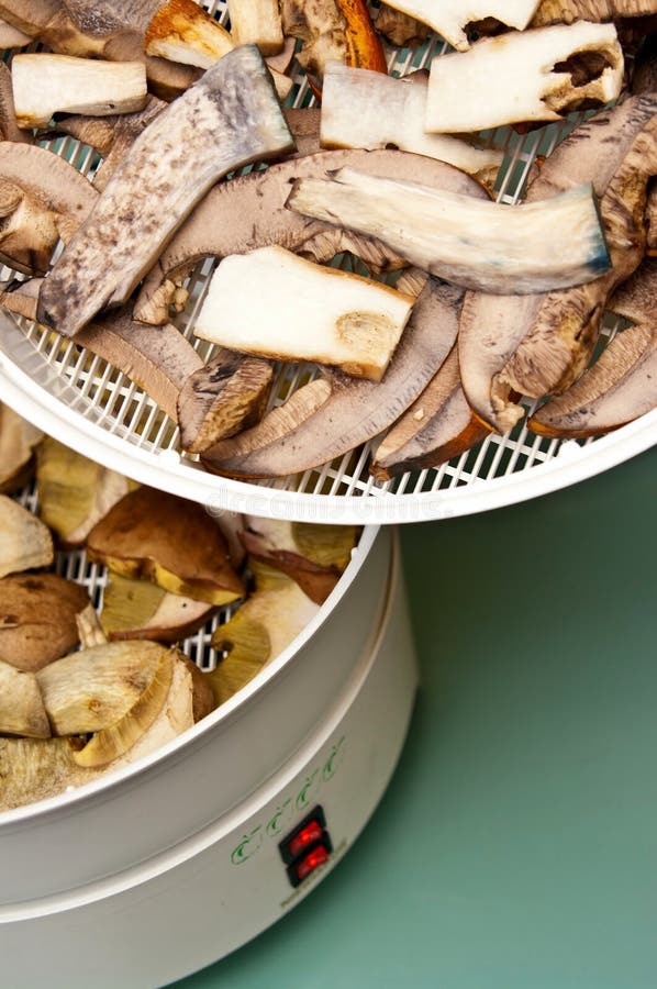 Mushroom drying machine stock photo. Image of dried, dries 43876690