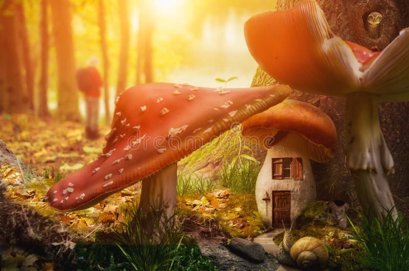 Mushroom fairy house