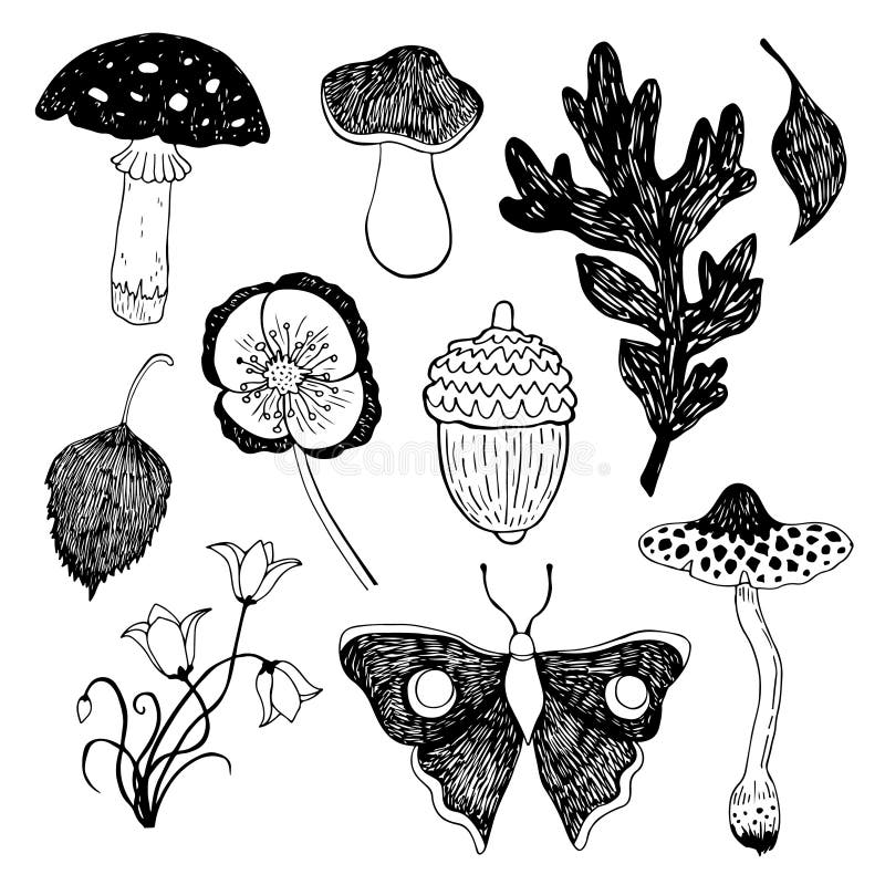 Mushroom and Flowers in the Grass. Forest Hand Drawn Vector Sketch