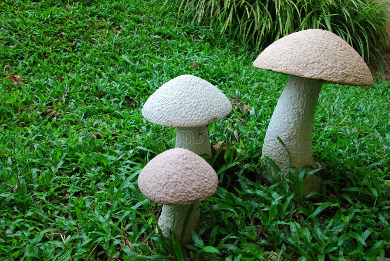 Mushroom in garden stock image. Image of fresh, wallpaper - 31413371 Mushroom in garden stock image. Image of fresh, wallpaper - 31413371