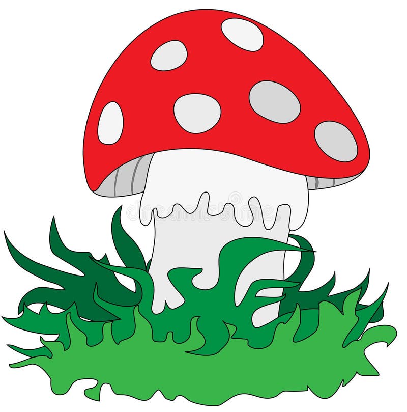 Mushroom on the grass