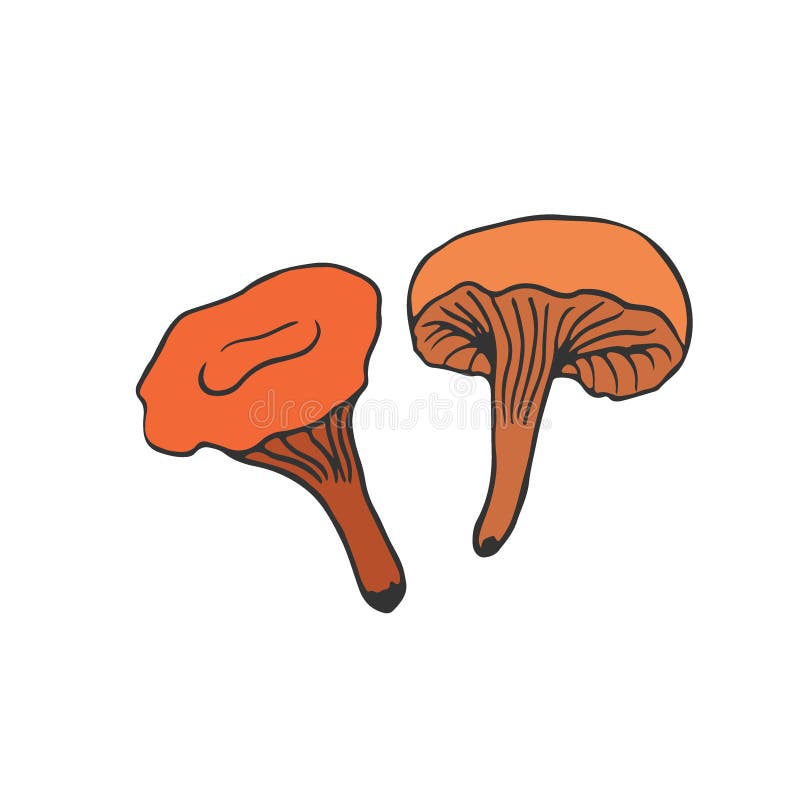 Mushroom Icon Design. Vegan Sticker and Patch Stock Vector ...