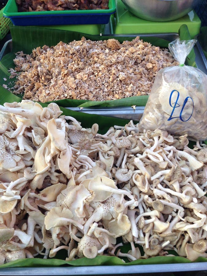 Mushroom stock image. Image of selling, local, market 54725305