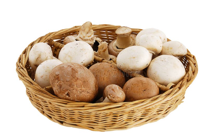 1,752 Straw Mushrooms Stock Photos - Free & Royalty-Free Stock Photos from  Dreamstime