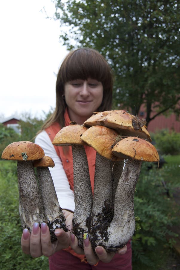 Mushroom picking stock image. Image of growth, little 15850443