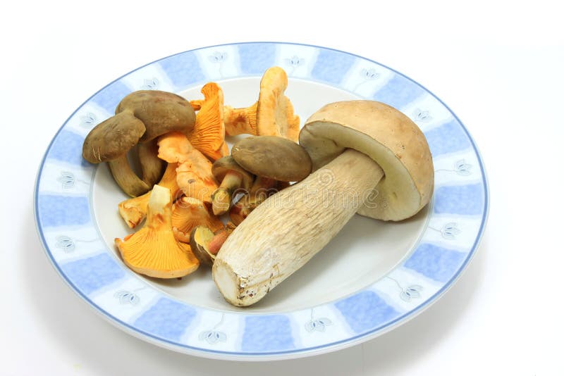 Mushroom on plate