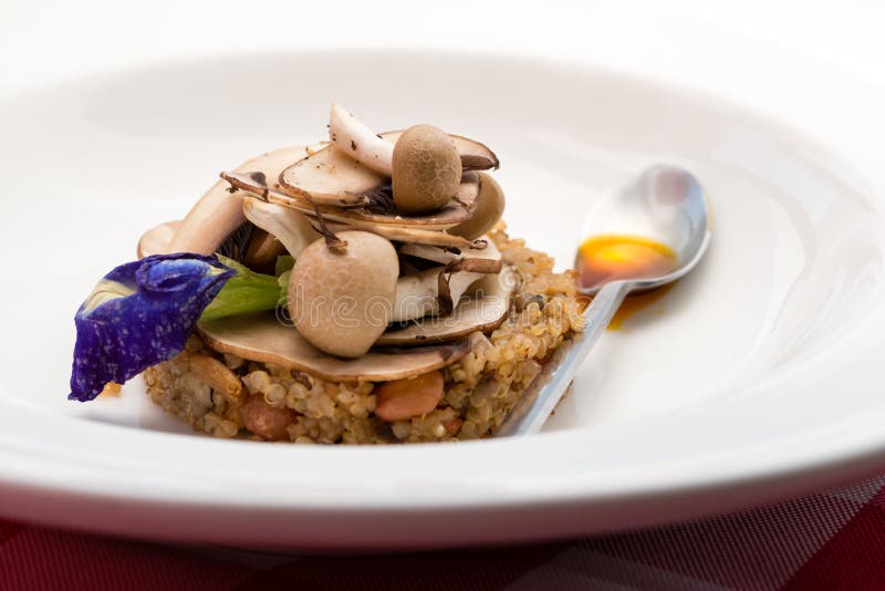 Mushroom and Quinoa Risotto Stock Photo Image of ingredient, risotto