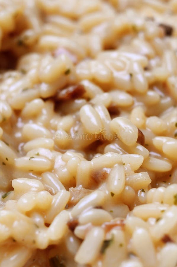 Mushroom risotto stock image. Image of mediterranean 35828629