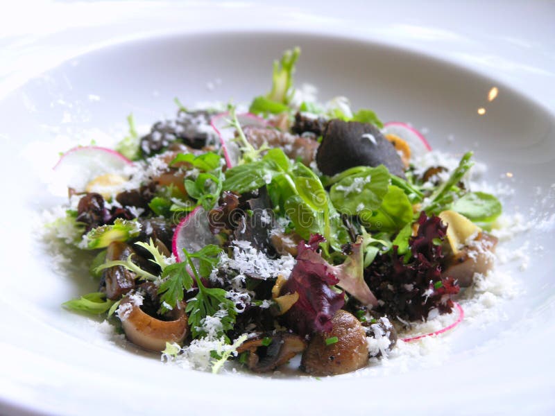 Mushroom Salad with black truffle