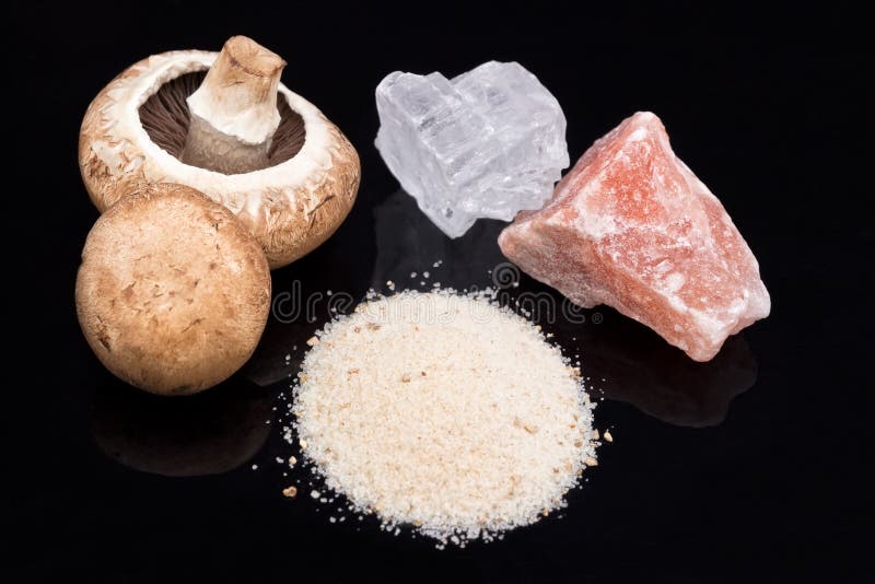 Mushroom salt stock image. Image of purely, taste, himalaya 150170813