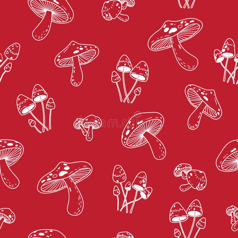 Mushroom Aesthetic Wallpapers  Wallpaper Cave