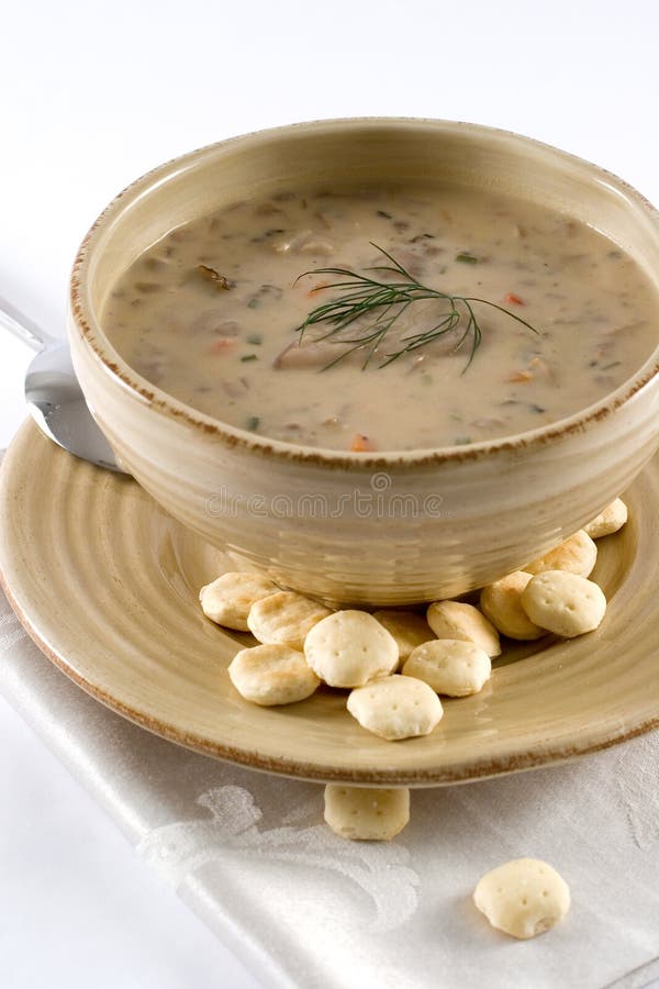 Mushroom creamy soup with crackers. Mushroom creamy soup with crackers