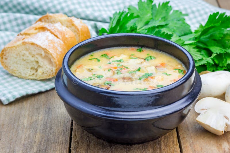 Mushroom soup with chicken stock photo. Image of dinner - 58266054