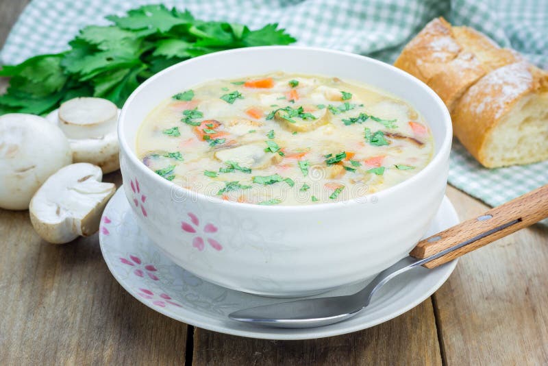 Mushroom soup with chicken stock photo. Image of dinner - 58266054
