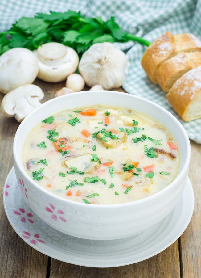 Mushroom soup with chicken stock photo. Image of dinner - 58266054
