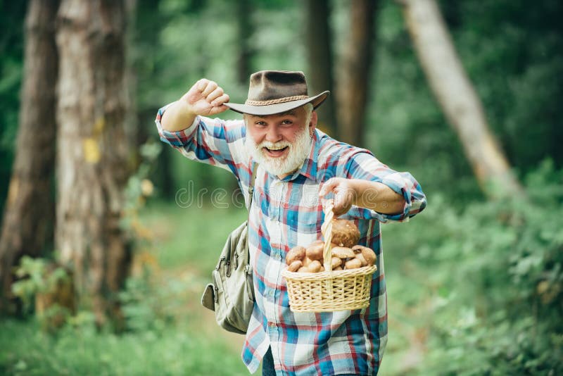 Mushrooming in forest, Grandfather hunting mushrooms over summer forest background.