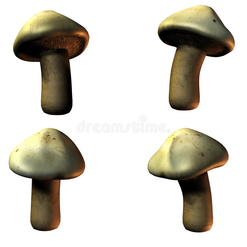 Mushrooms in 3D