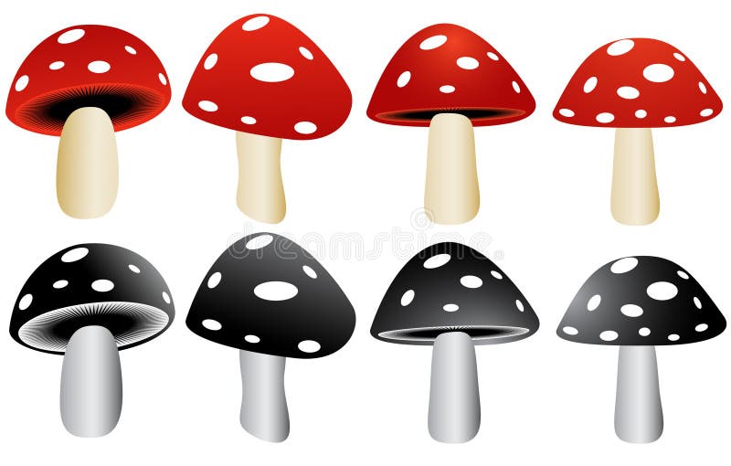 Red White Mushrooms Stock Illustrations 5,937 Red White Mushrooms